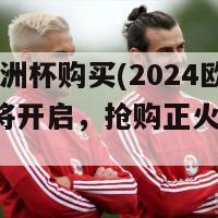 2024欧洲杯购买(2024欧洲杯即将开启，抢购正火热进行！)